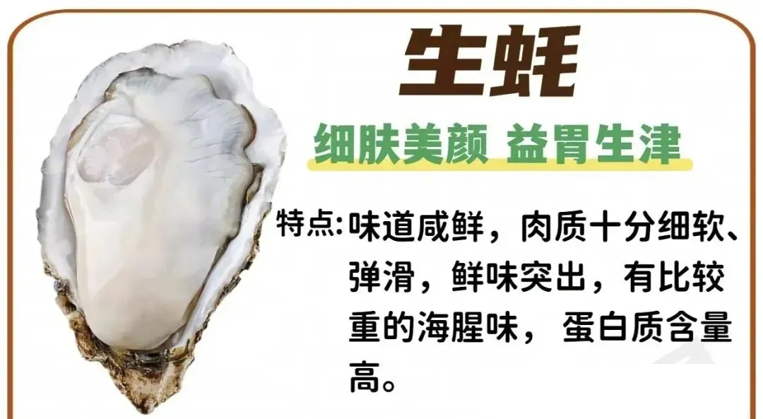 霞浦滩涂里的 “秘密”第三期：快速认识十五种贝壳类海鲜！