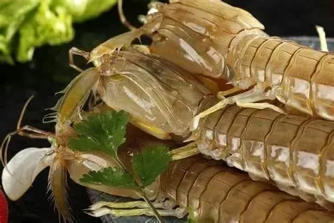 霞浦滩涂里的 “秘密”第十二期：教你挑选皮皮虾