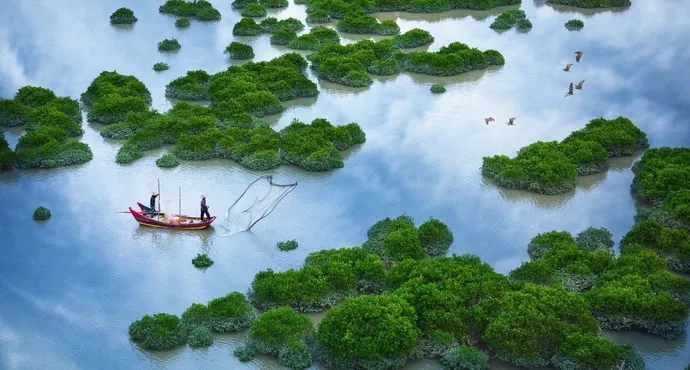 图片